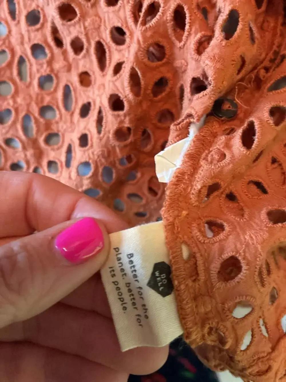 Madewell Eyelet Ruffle-Sleeve Pintuck Mini Dress in Mulled Cider Sz M A679